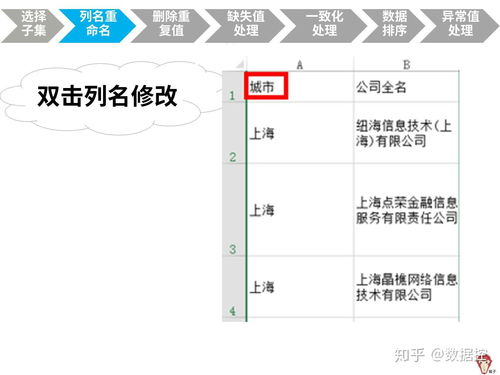 高效利用Excel进行数据分析与处理 从入门到实践